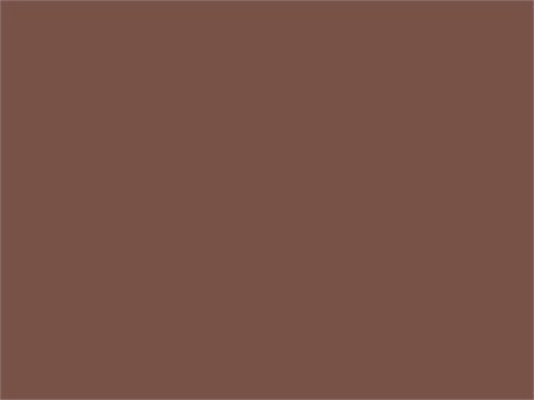 Colorama хартиен фон 1.35 x 11 м - цвят Peat Brown