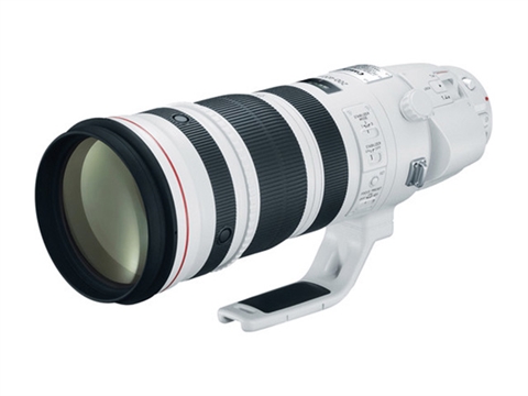 Обектив Canon EF 200-400mm f/4L IS USM с Extender 1.4x